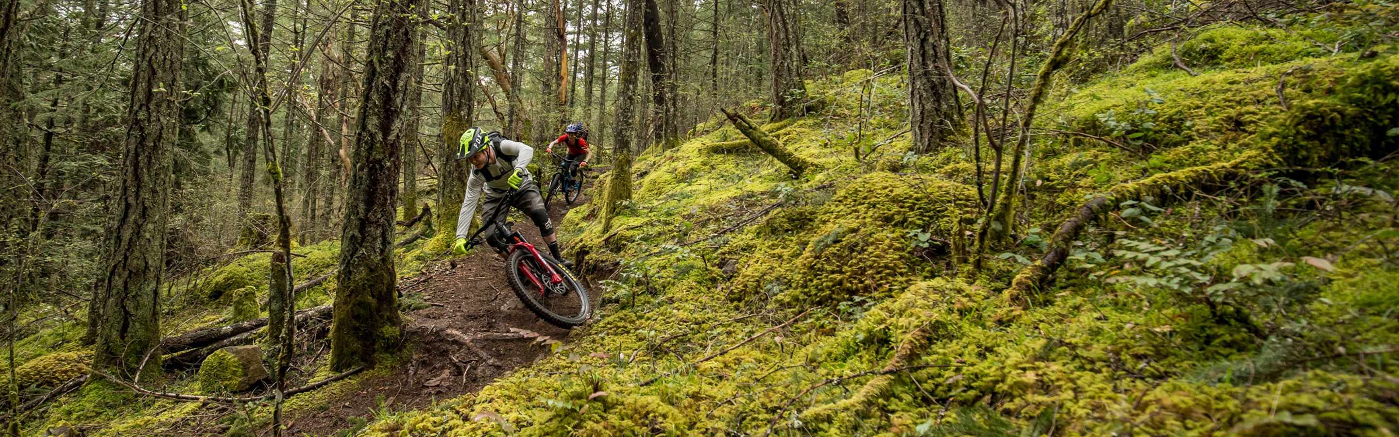 Sram low banner