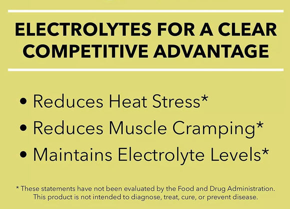 SaltStick Electrolyte FastChews 60 tablets Bottles