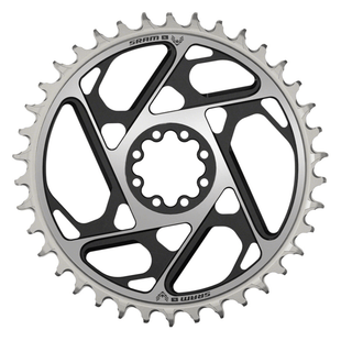 SRAM XX SL Eagle T-Type Direct Mount Chainring - 12-Speed 8-Bolt Direct Mount 0mm Offset Aluminum Black/Silver D1
