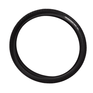 Panaracer Pasela 20x1.50 Wirebead Tire
