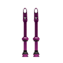 TLC Tubeless Valves w/ Core Remover Choose Length-10