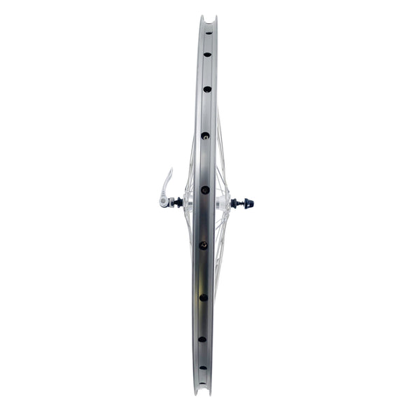 Alex DC-19 26-Inch 9x100 Front 10x135 Rear QR HG Type Silver Wheelset