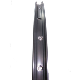 Alex DC19 700c 10x135 Rear QR HG Cassette Type Doublewall Wheel Black - 0