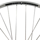Alex DC19 700c Doublewall Shimano HG Hybrid Silver QR Rear Wheel-3