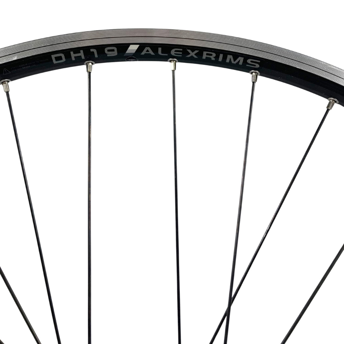 Alex Single Speed Rims Alex DH19 700 Rear 10x135 QR Cassette Type Wheel Black | The Bikesmiths