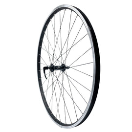 Alex DH19 700 9x100 Front QR Wheel Black