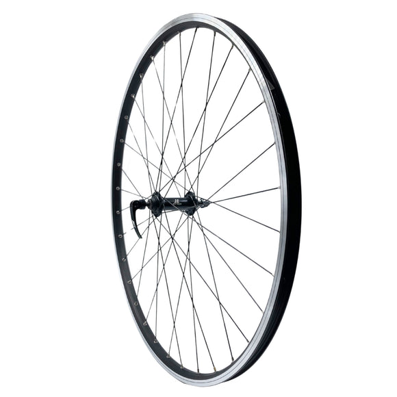 Alex DH19 700 9x100 Front QR Wheel Black