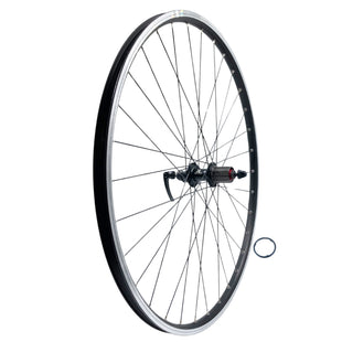 Alex DH19 700 Rear 10x135 QR Cassette Type Wheel Black