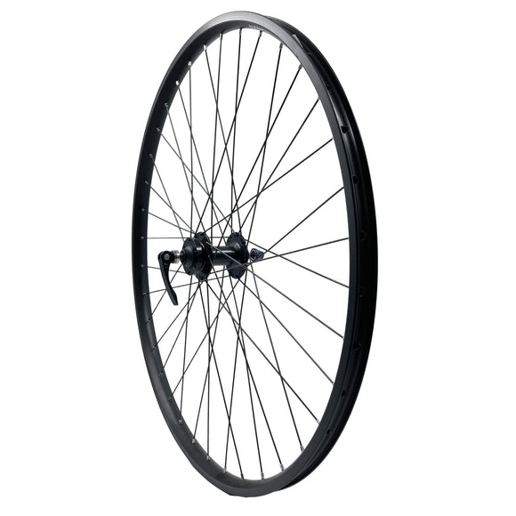 Alex Adventure2 29 Inch Formula Disc Front QR TR Wheel