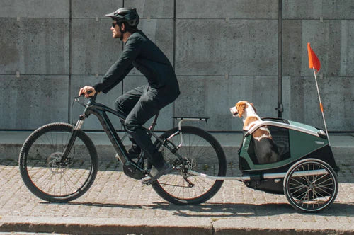 Thule Bexey Dog/Cargo Trailer