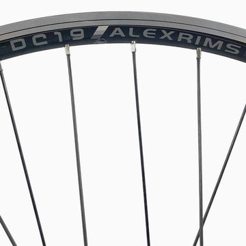 Alex DC-19 26-Inch 10x135 QR Rear HG Cassette Type Black Wheel Alex