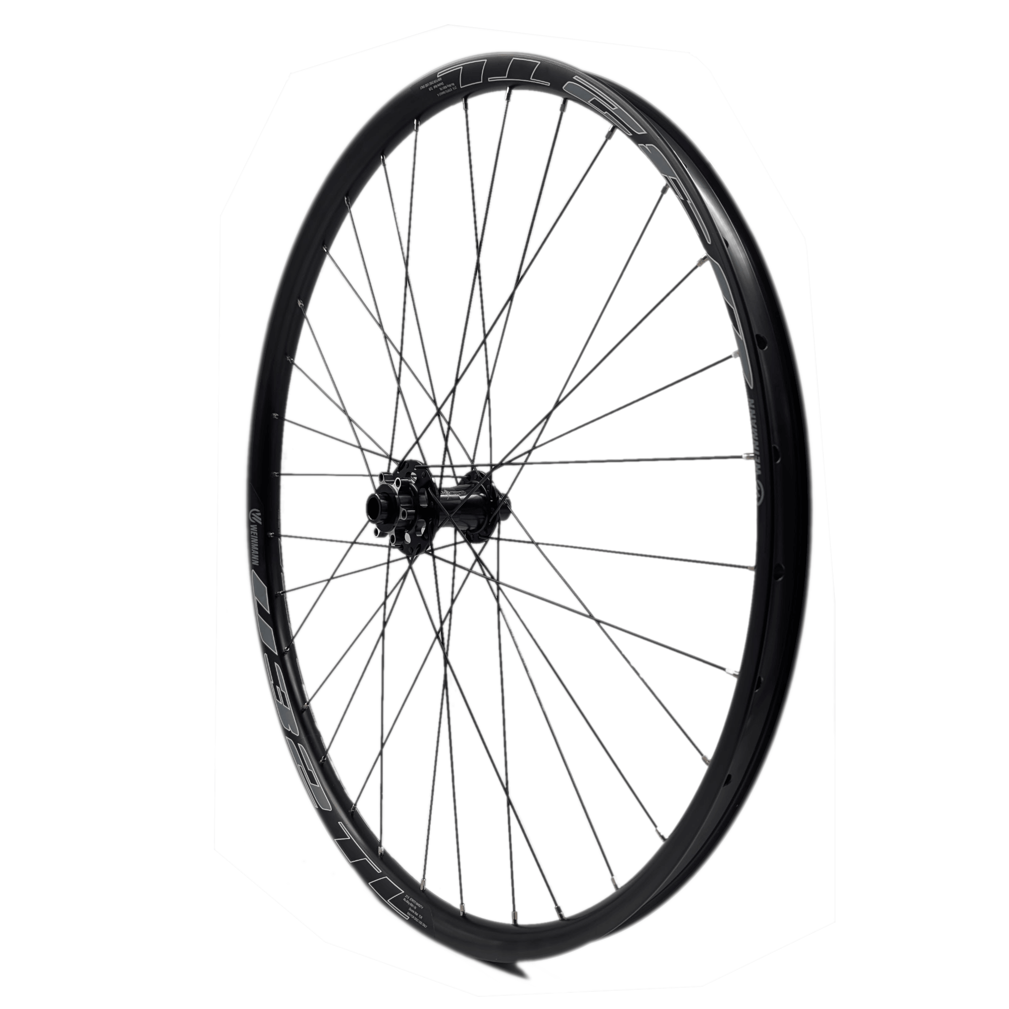 Weinmann U32TL 29-Inch 15x110 Front TA Boost Orgin8 MT-3200.2 Tubeless ...