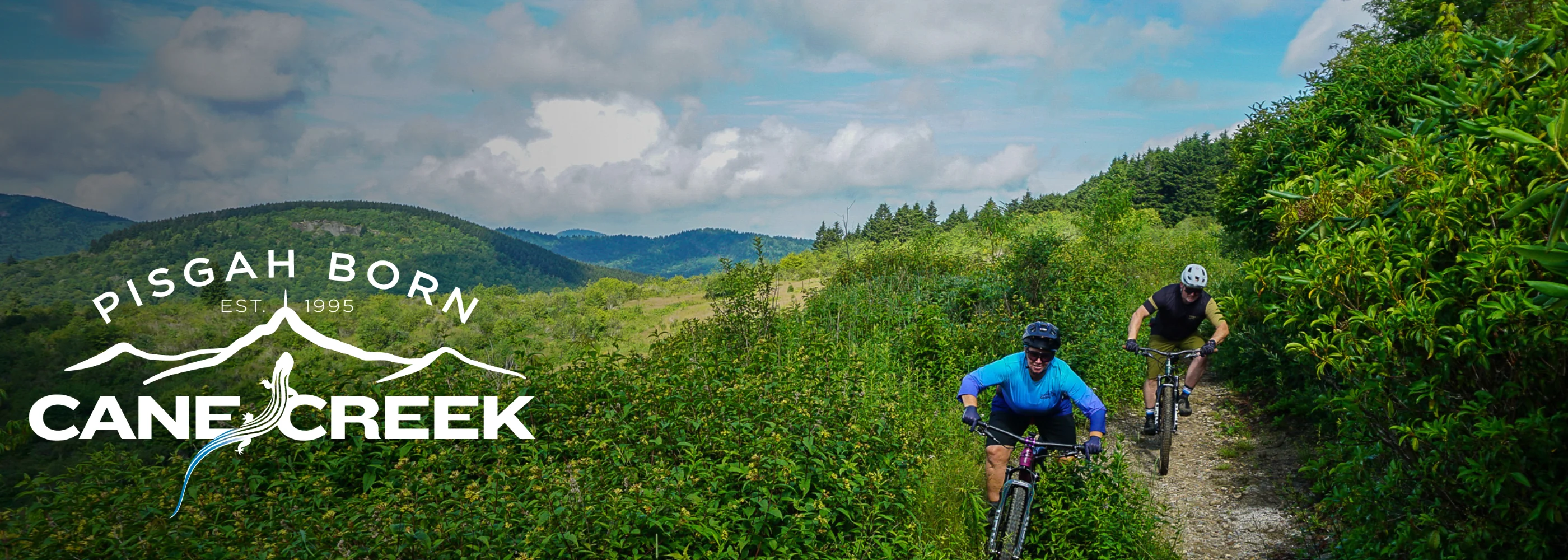 Cane creek top banner