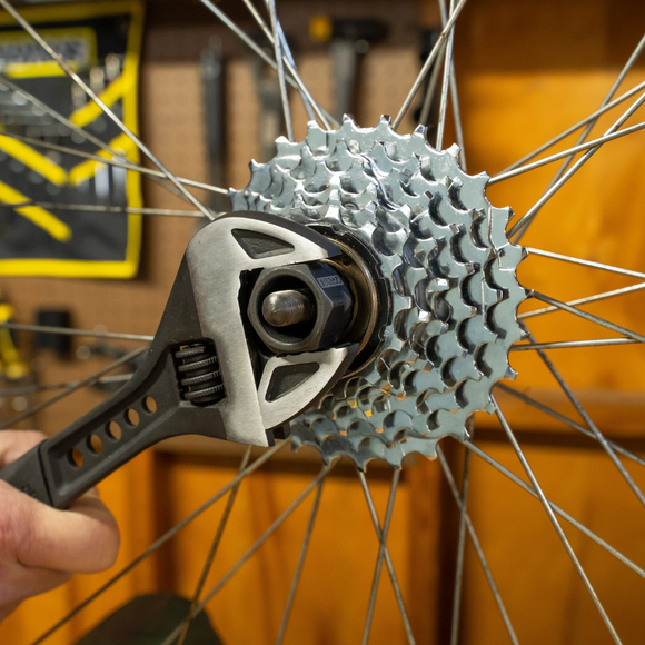 Pedro's 12-Spline Freewheel Remover Tool