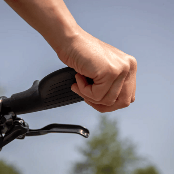 Ergon GT1 Multi-Position Comfort Grips