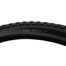 Maxxis Holy Roller 20-inch BMX  Tire-3