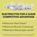 SaltStick Buffered Electrolyte Salt Replacement Capsules - The Bikesmiths