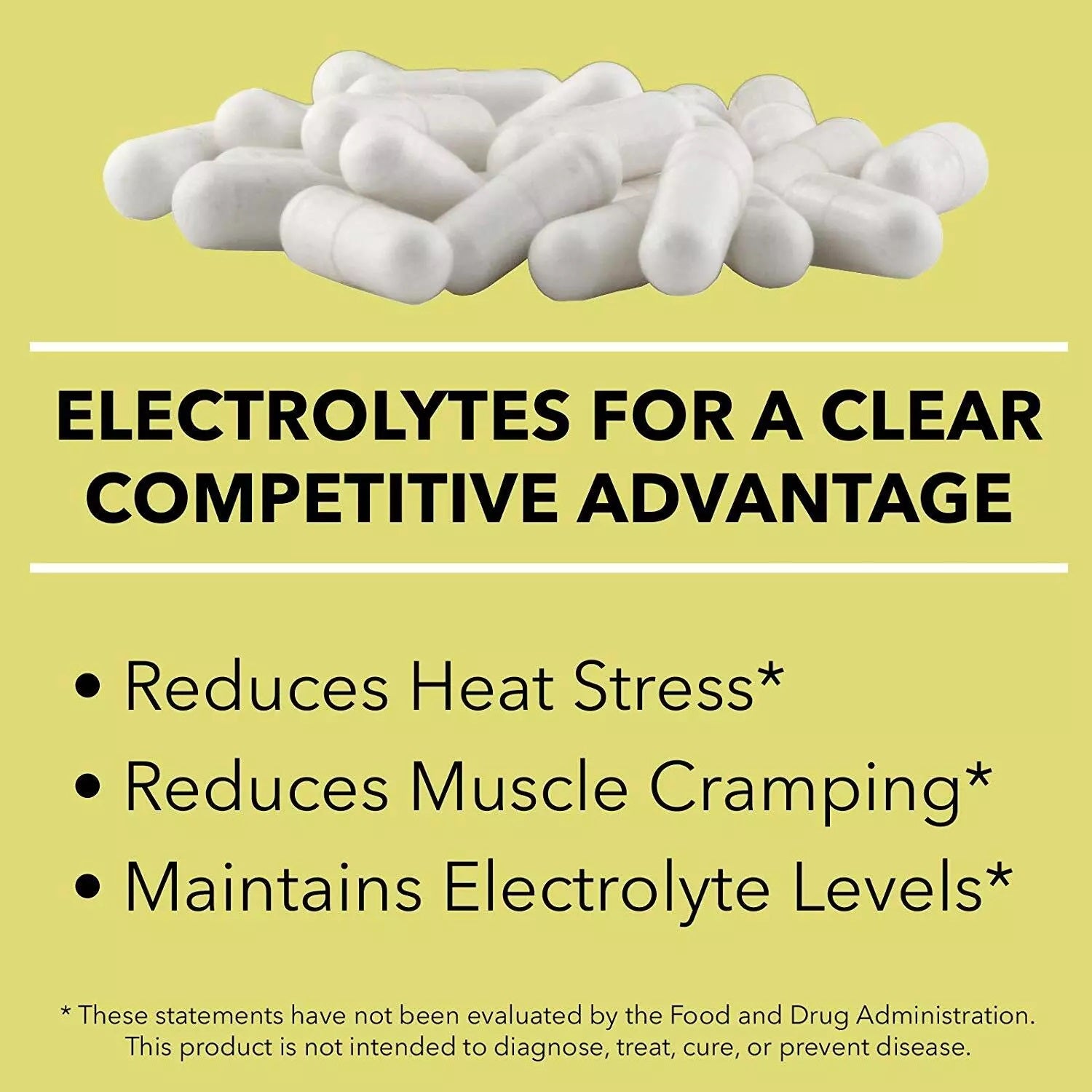 SaltStick Buffered Electrolyte Salt Capsules - Value 2 Pack