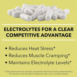 SaltStick Buffered Electrolyte Salt Capsules - Value 2 Pack SaltStick