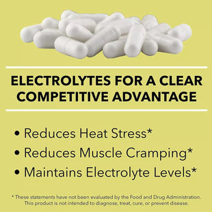 SaltStick Buffered Electrolyte Salt Capsules - Value 2 Pack SaltStick