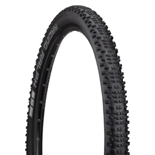 Schwalbe Racing Ralph 29-Inch Tubeless Evolution Super Ground Addix Speed Tire