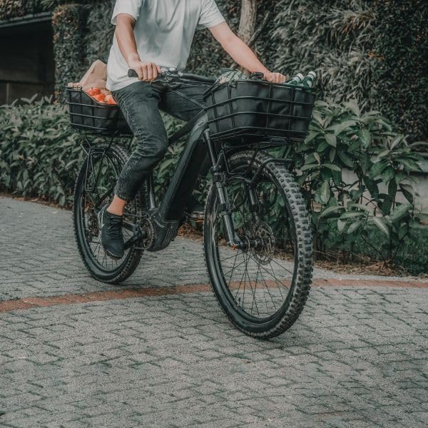 Topeak TB2013 MTX 2.0 Urban Basket DX XL 22L