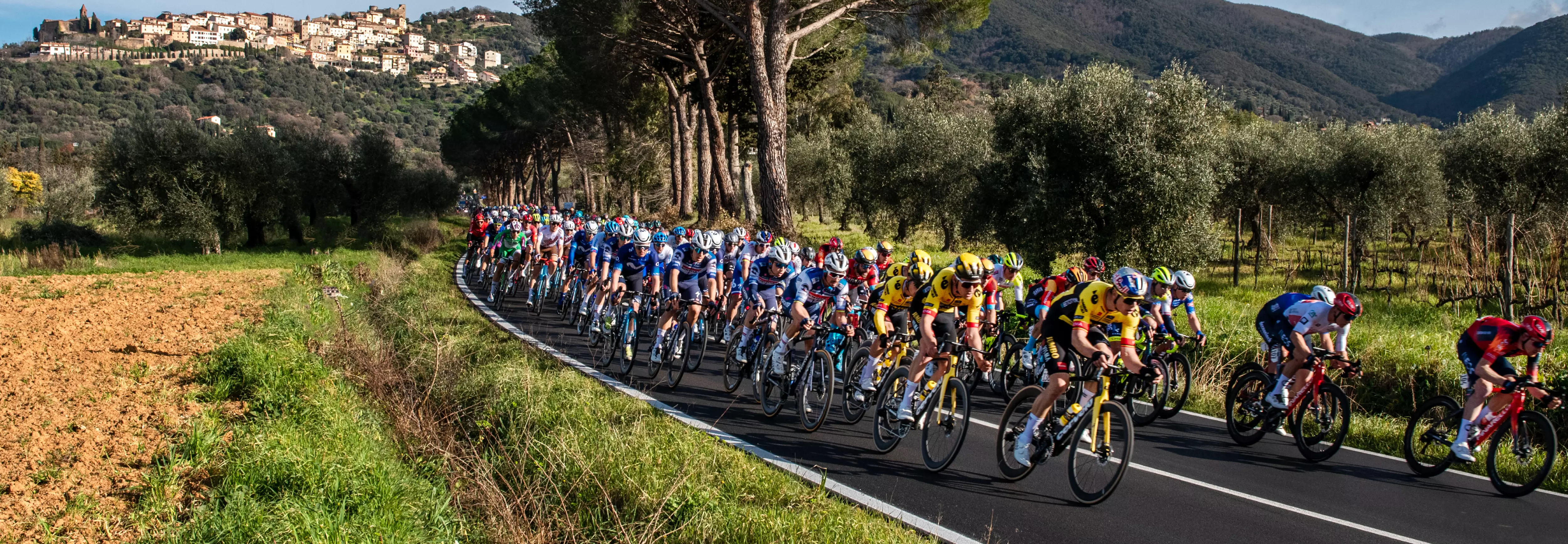 Vittoria leads the way in advanced bicycle tire technology, driven by innovation, sustainability, and unique designs that enhance every rider’s experience.