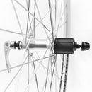 Alex DC19 700c Road Bike Rear Wheel Cassette type - The Bikesmiths