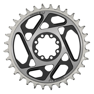 SRAM XX SL Eagle T-Type Direct Mount Chainring - 12-Speed 8-Bolt Direct Mount 0mm Offset Aluminum Black/Silver D1