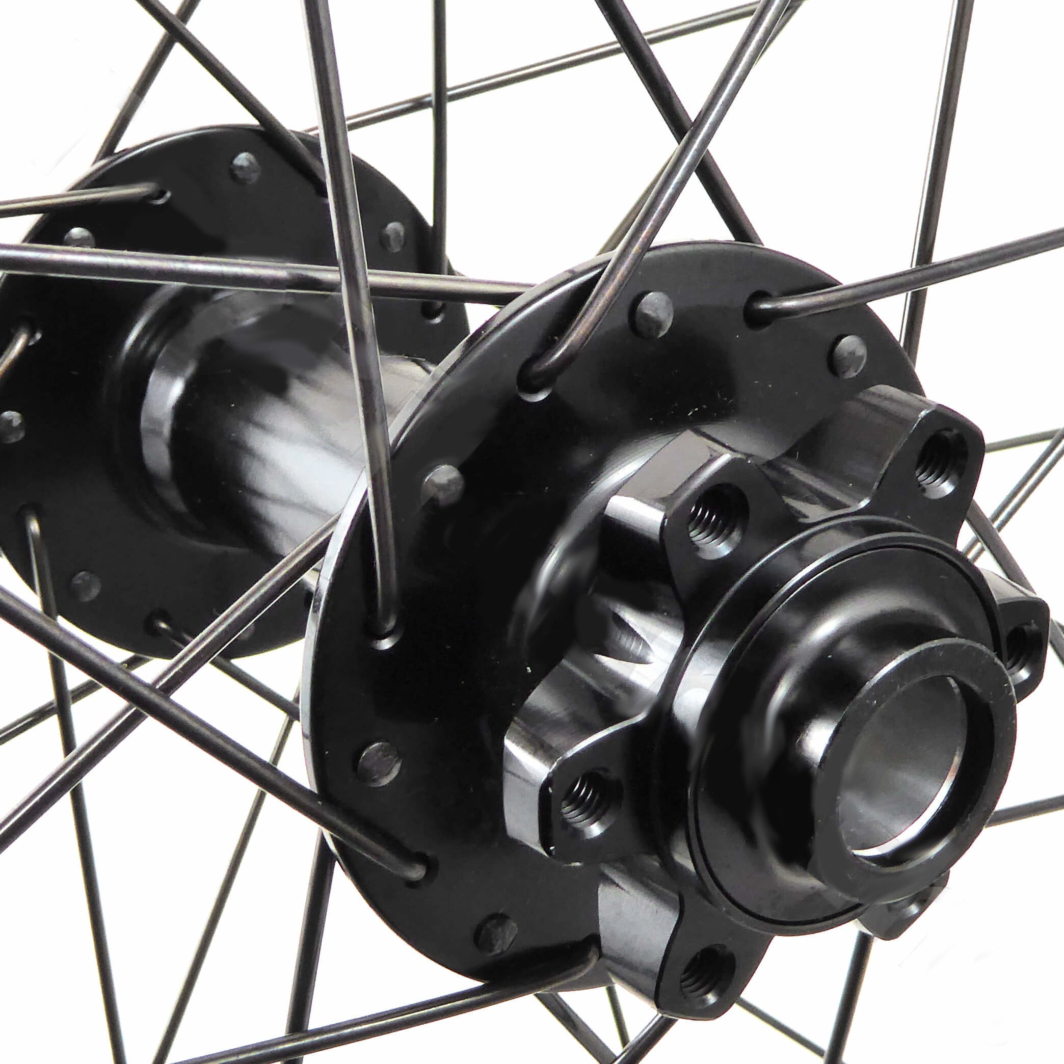 Closeup of the hub showing the mounting bolts for the disc brake as well as the thru axle hole.