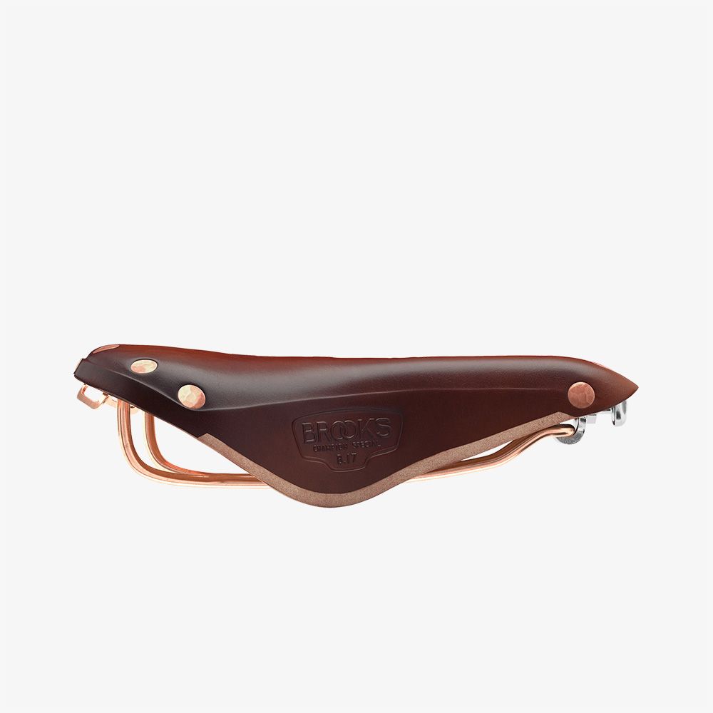 Brooks Classic B17 Special Leather and Copper Saddle