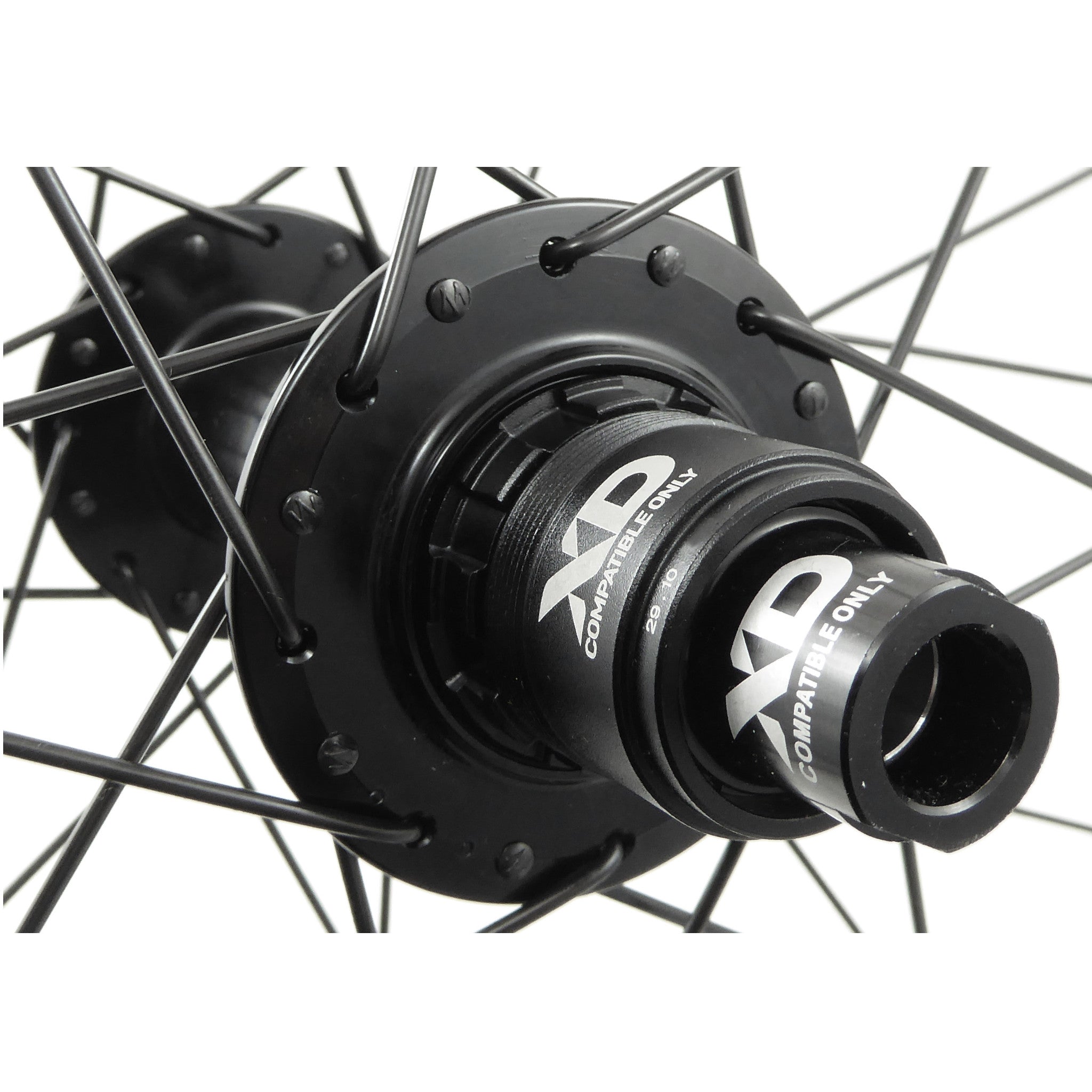 A closeup of the rear hub with an XD Driver type hub.