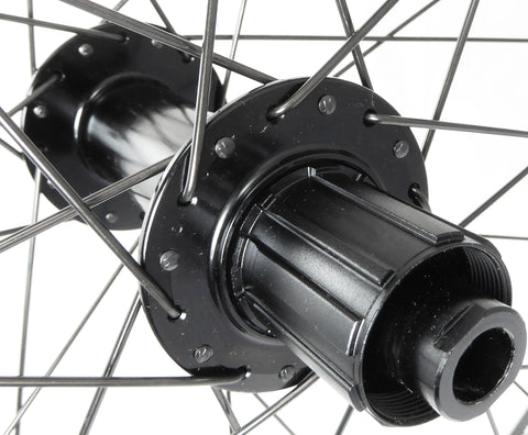 Image of Photo showing closeup of the rear Shimano type freehub body.  