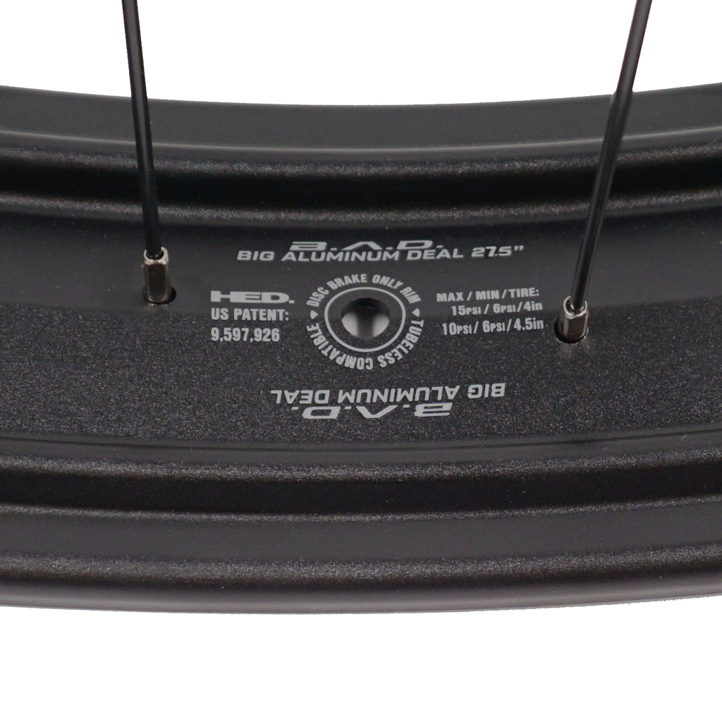 HED Big Aluminum Half Deal 27.5-inch REAR 12x197 TA Fat Bike Disc Wheel