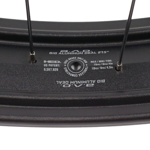 Image of HED Big Aluminum Half Deal 27.5-inch REAR 12x197 TA Fat Bike Disc Wheel