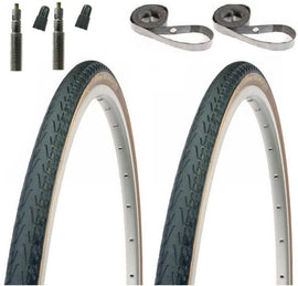 Panaracer Pasela Protite Skinwall 27" Presta Valve Tube/Tire Kit - TheBikesmiths