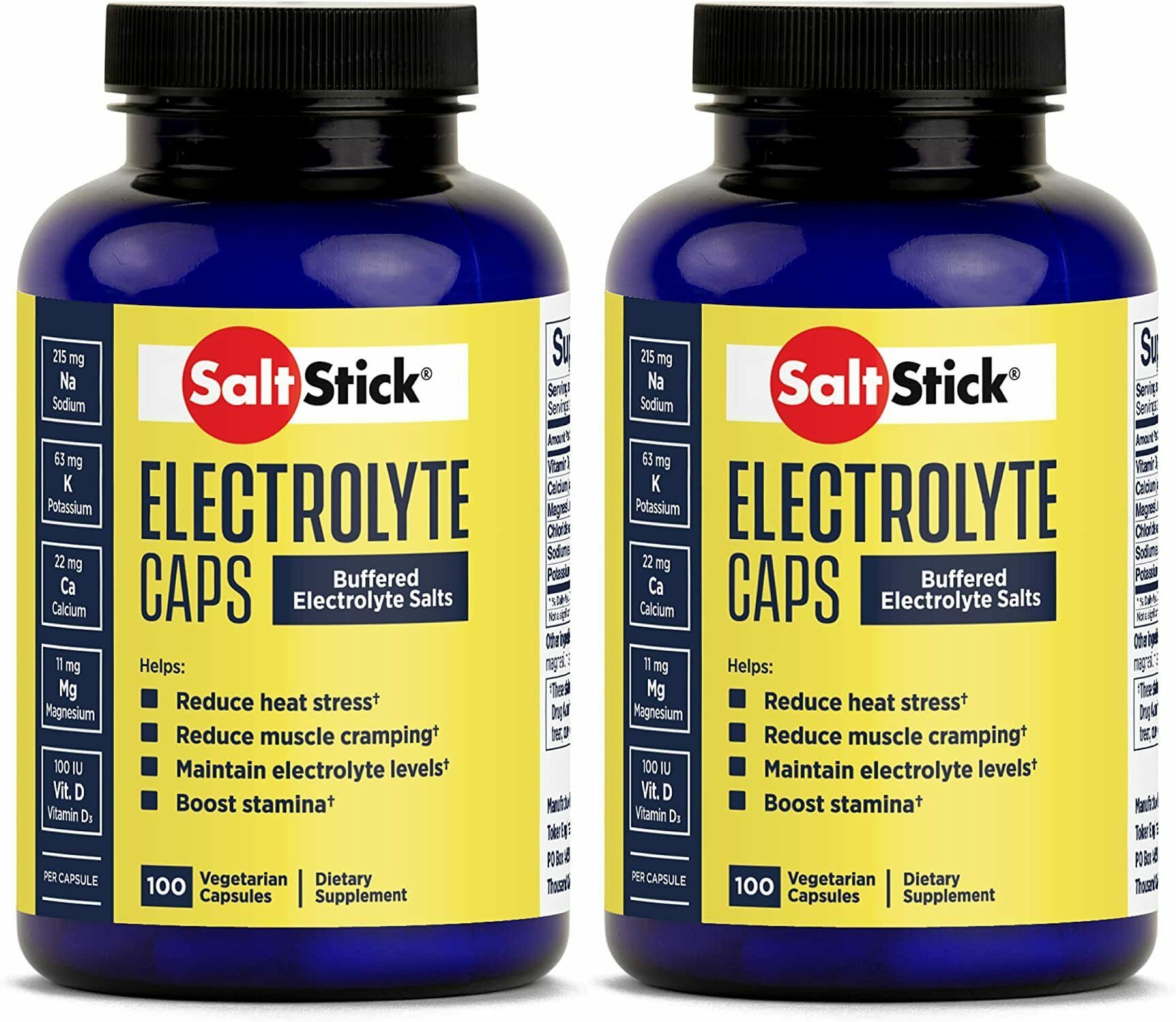 SaltStick Buffered Electrolyte Salt Capsules - Value 2 Pack - The Bikesmiths